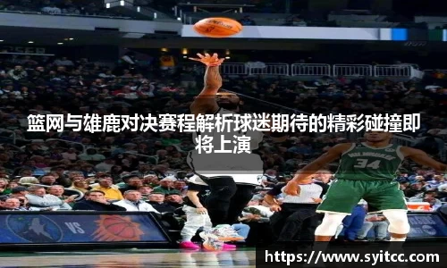 熊猫体育